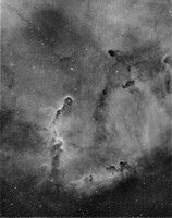 The Elephant's Trunk Nebula, in H-alpha