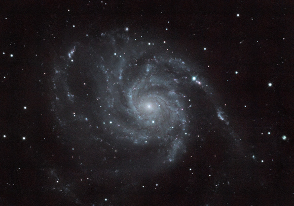 M101 with SN 2023ixf (no arrow)