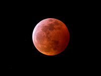 Super Wolf Blood Moon (from Madison's East Side)