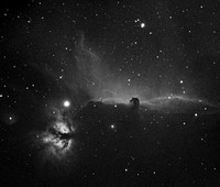 Horsehead: First LIght from the 183
