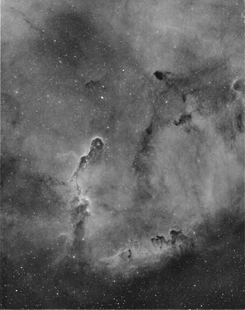 The Elephant's Trunk Nebula, in H-alpha